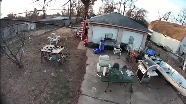 Neighborhood cat Stalking my Bird feeder