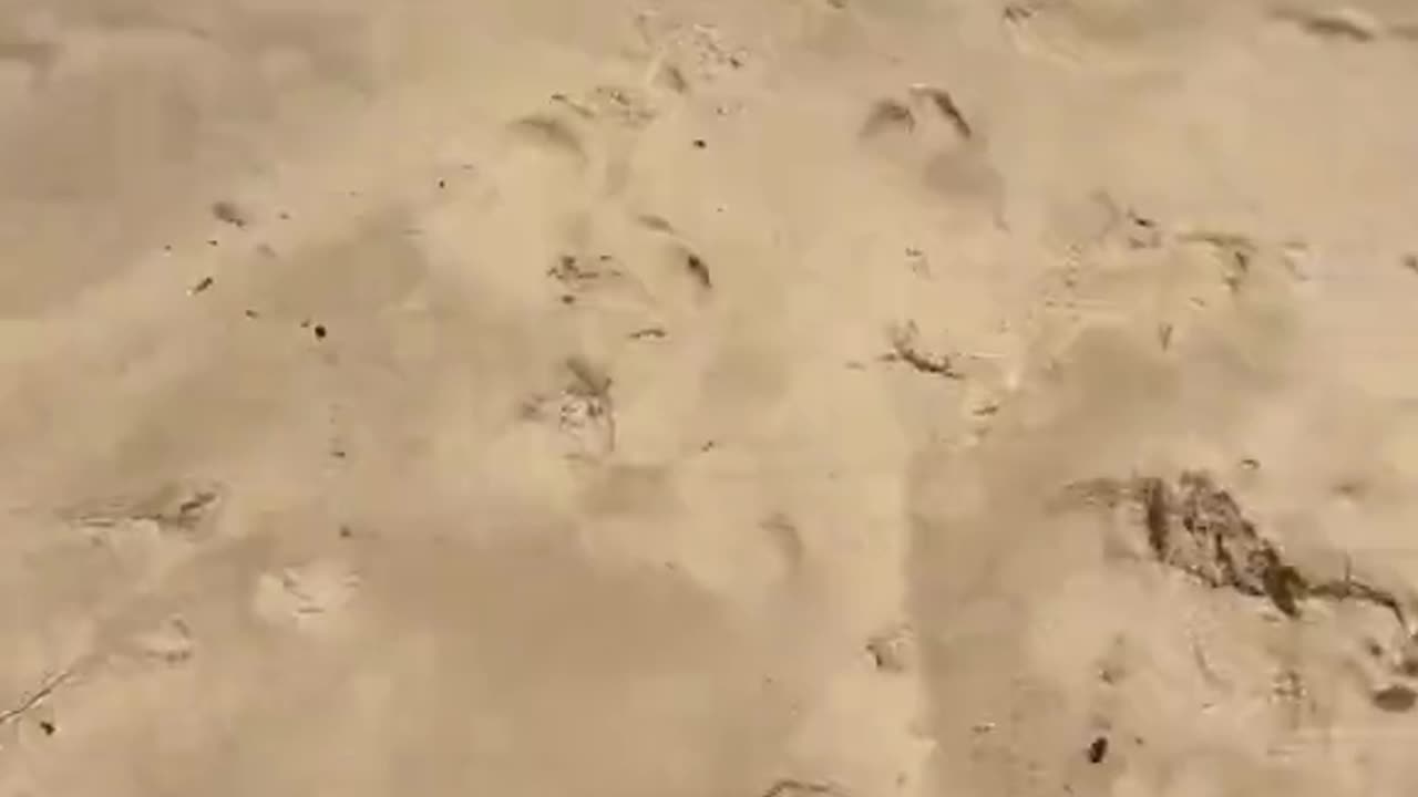 A 3 meter (11 foot) sneaker wave that hit Leblon beach in Rio de Janeiro.