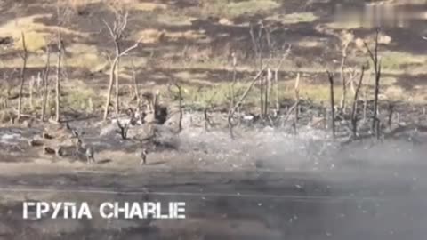 A group of Canadians, came under fire from RF fighters as a result of the assault.