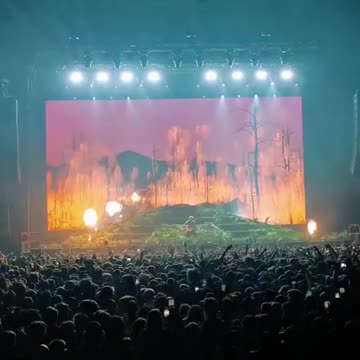 Discover Tyler The Creator Merch on Remotehub!