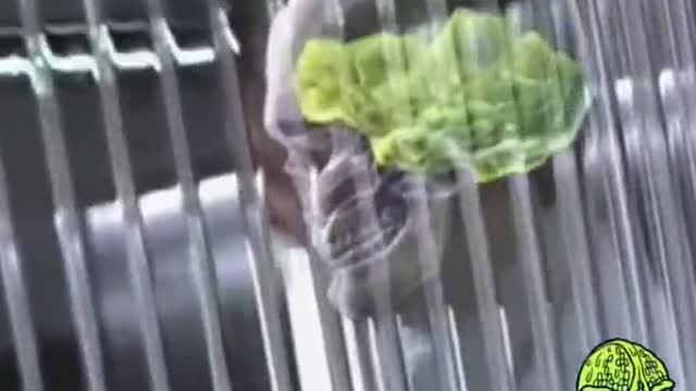 They tell you right to your face! Wake Up!! This is spiritual