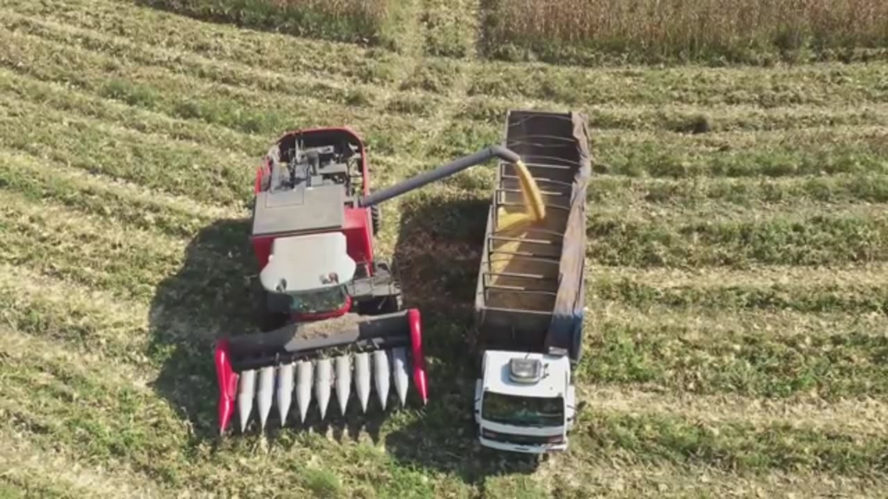 Russia-China Grain Alliance THREATENS U.S. Farmers… What Happens Next?