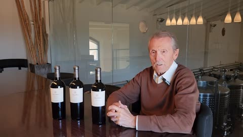 Viña Alicia - The Brote Negro Vineyard Story