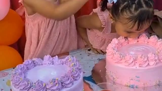 Twins Baby Enjoy Birthday Celebration