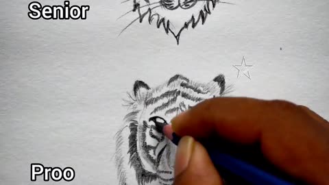 How to draw tiger