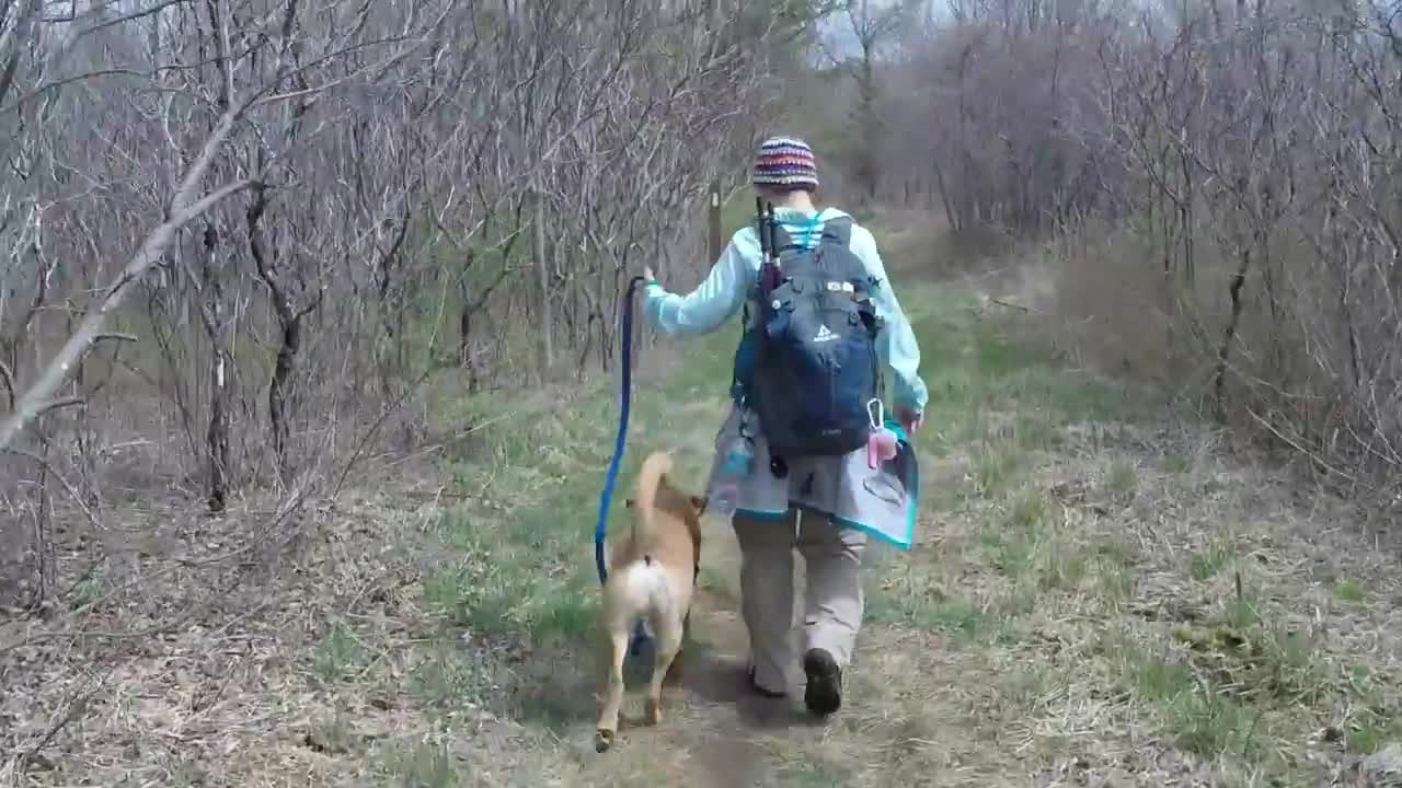 Hiking the Appalachian Trail with her dog Jackson