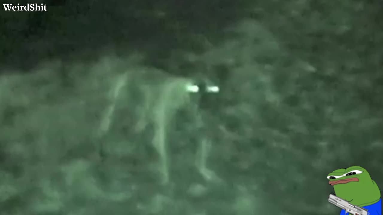 CHUPACABRA ATTACK