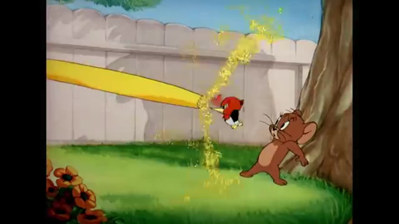 Tom and Jerry cartoon