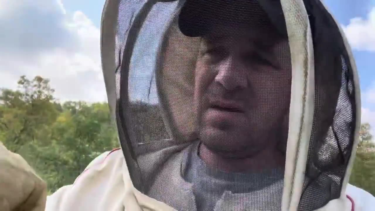 Counting Brood Frames on the Bulk Bee Splits