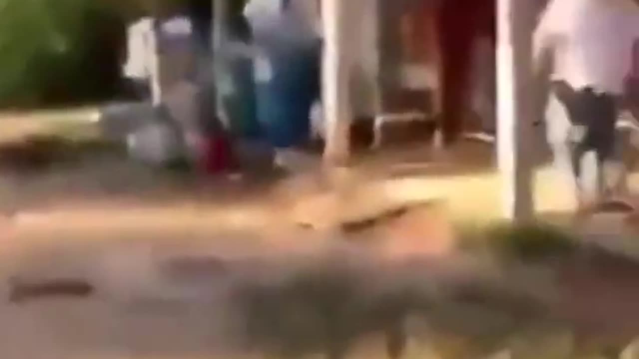Try to no laugh 🤣🤣