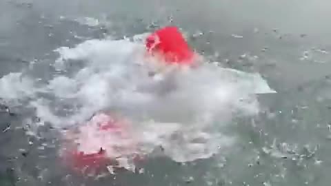 Funny video 😂🤣