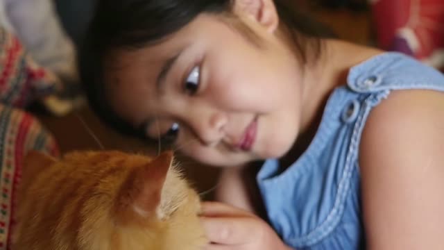 Slow motion of Lovely Asian girl plays with her tabby Persian cat