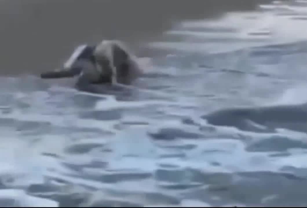 Don't provoke nature