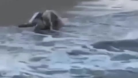 Don't provoke nature