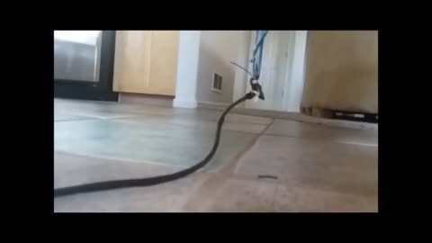 How Incoherent Electrostatics creates the downward vector