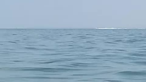 Speedboat on camberwell sands