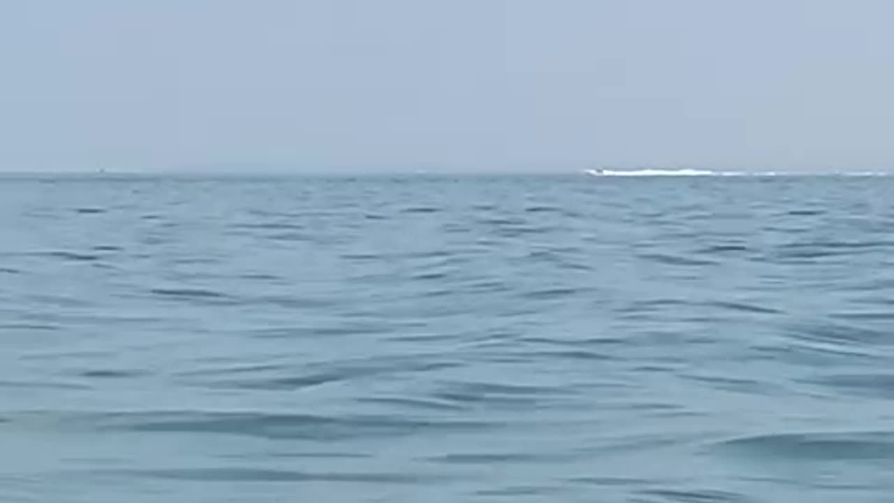 Speedboat on camberwell sands