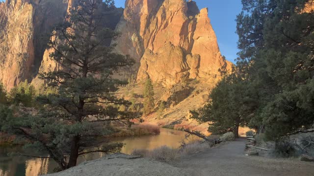 Ancient Juniper Trees – Smith Rock State Park – Central Oregon