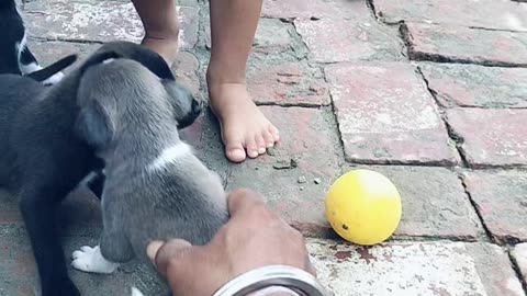 Rumble