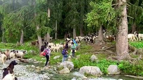 Beautiful Pakistan 34