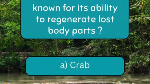 Ready for a brain workout? 🧪 #quiz #quiztime #quizchallenge #trivia #animals