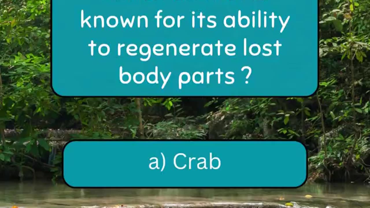 Ready for a brain workout? 🧪 #quiz #quiztime #quizchallenge #trivia #animals