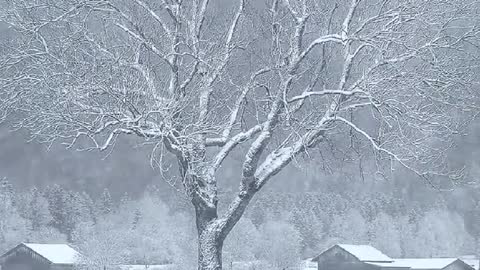 Amazing Winter adventure