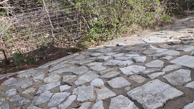 URBAN HUNTING AT KERR REST AREA TEXAS USA R