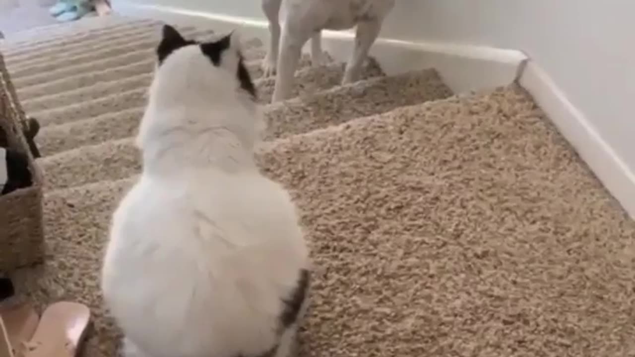 The border is closed, well, almost!