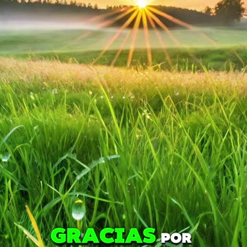 🙏✨Oración Inspirada en las Lecturas de Hoy.✨🙏