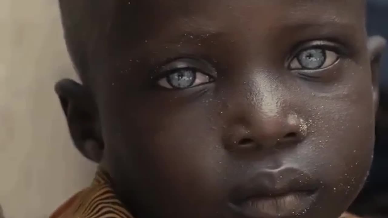 Vimeo naturel