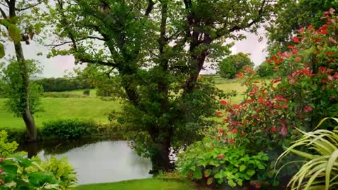 Relaxing Music | Sleeping, Meditation, Stress Relief | [1344] ⭐️