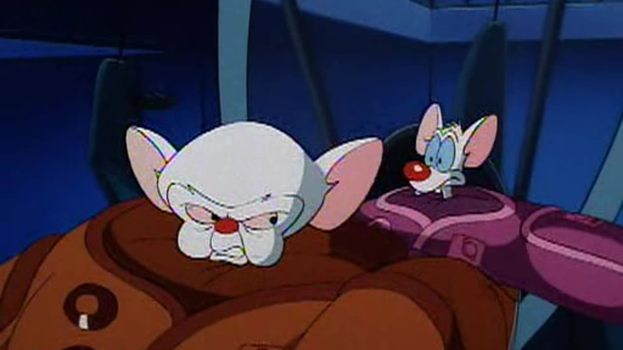 Pinky e o Cerebro - Temporada 01 - Episodio 11 - Fora de Órbita