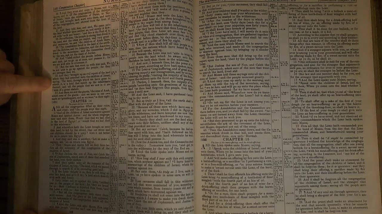 Numbers 13