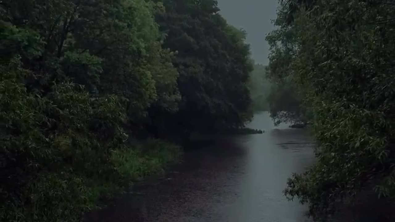 The beautiful monsoon rain fall .