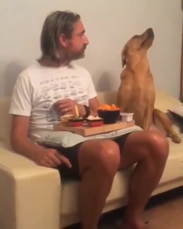 Hungry but in manners 🥰