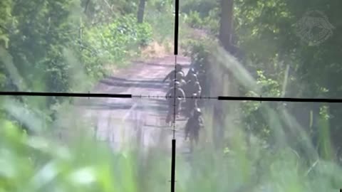 THE WORK OF A SNIPER OF THE MTR OF UKRAINE