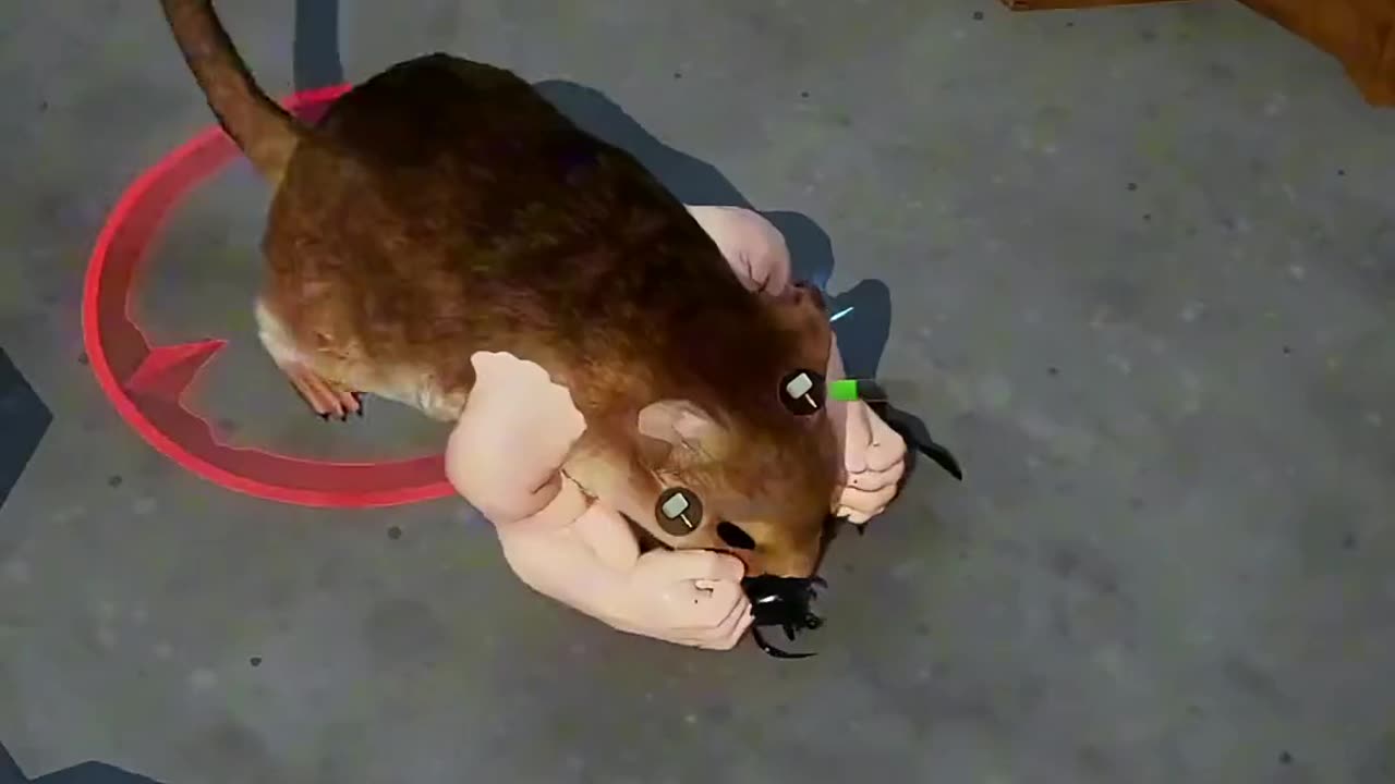 Funny video