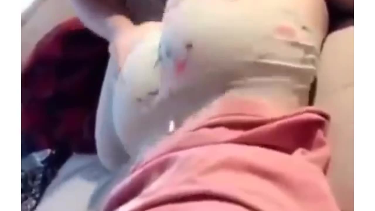 Big ass grils vidoe