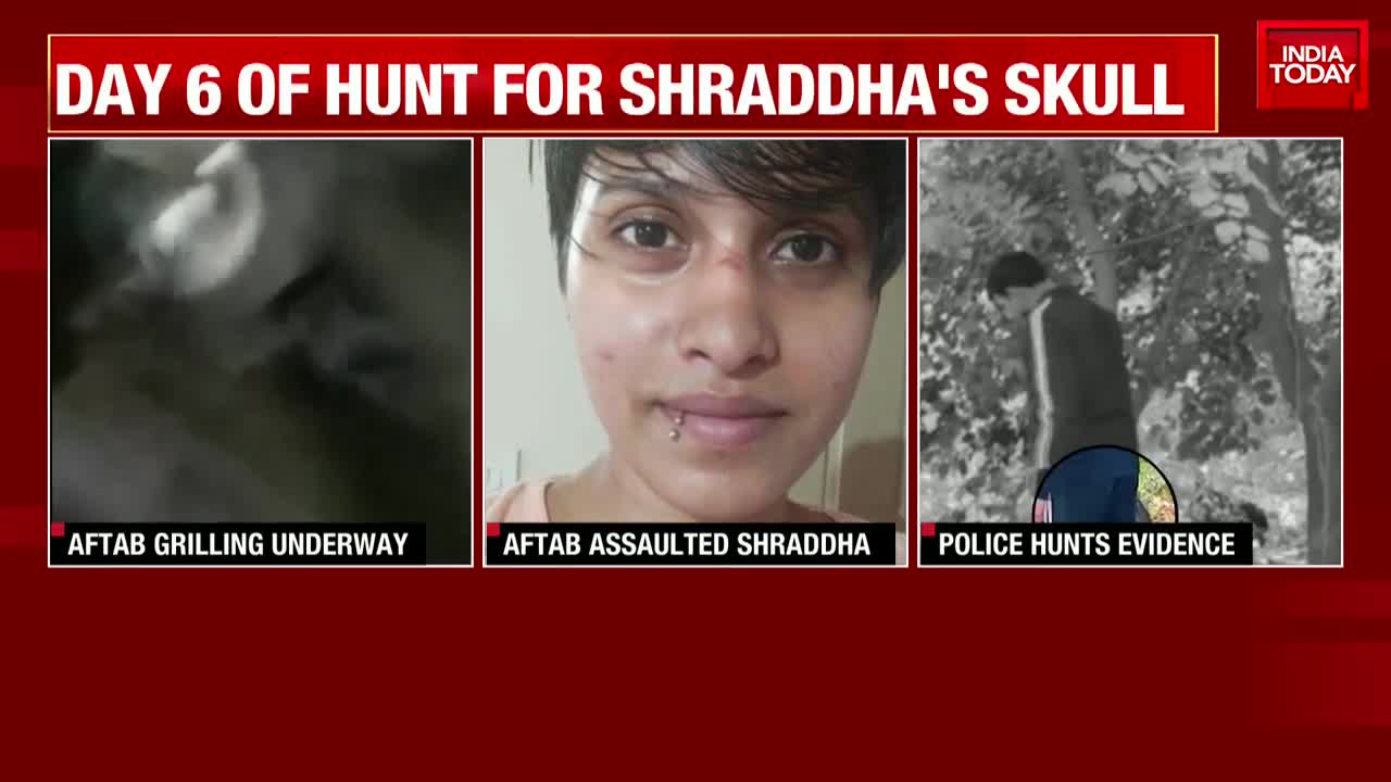 Shraddha Murder Case: Delhi Court Orders Aftab's Narco Test Within 5 Days, No Third Degree