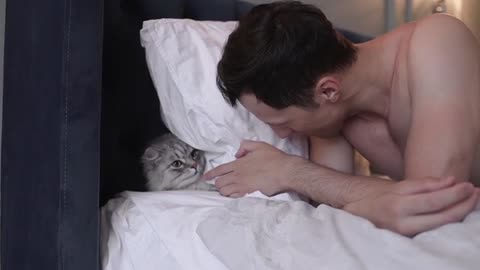 Funny cat in bed