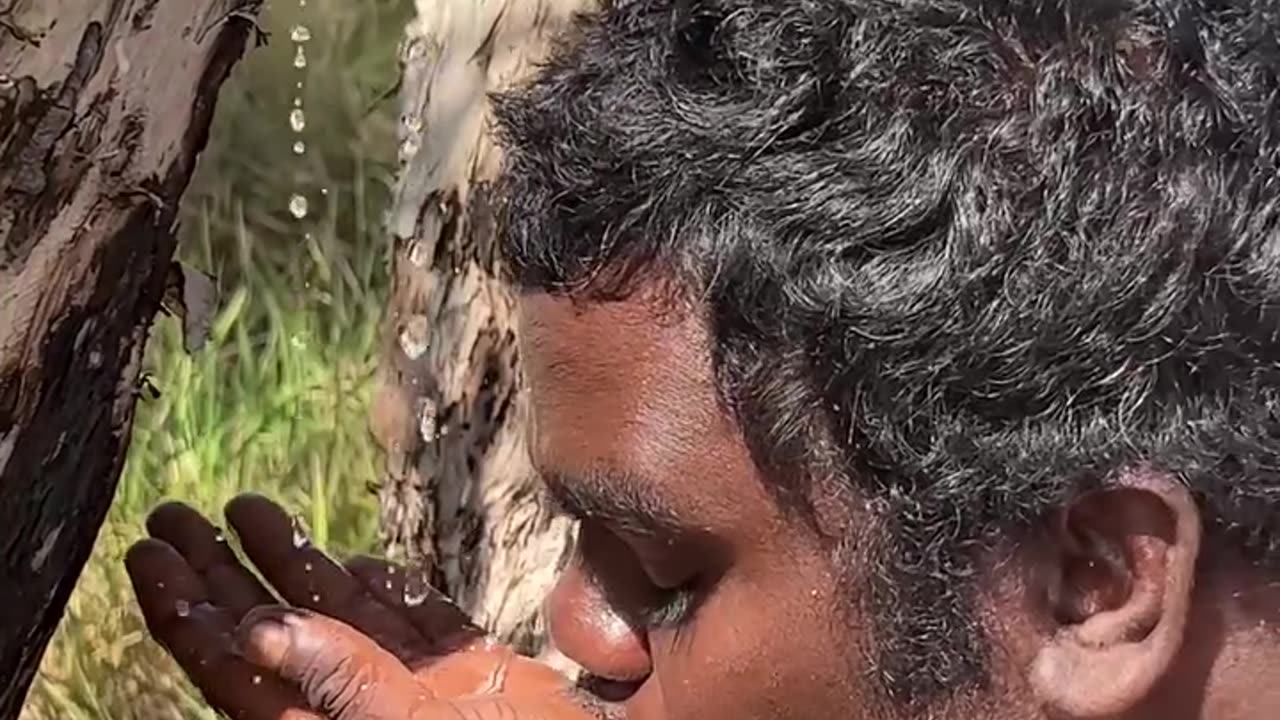 WATER FROM TREES IN OZ OUTBACK
