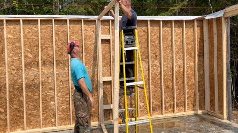 Building Partition Walls In The Shed