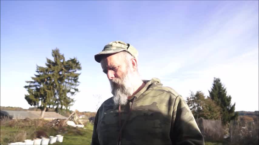 Thulean Perspective - The GREEN Pill