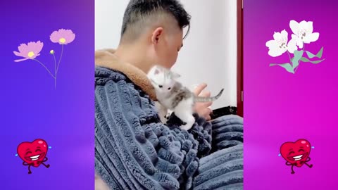 Funny Cats Videos 2023 P