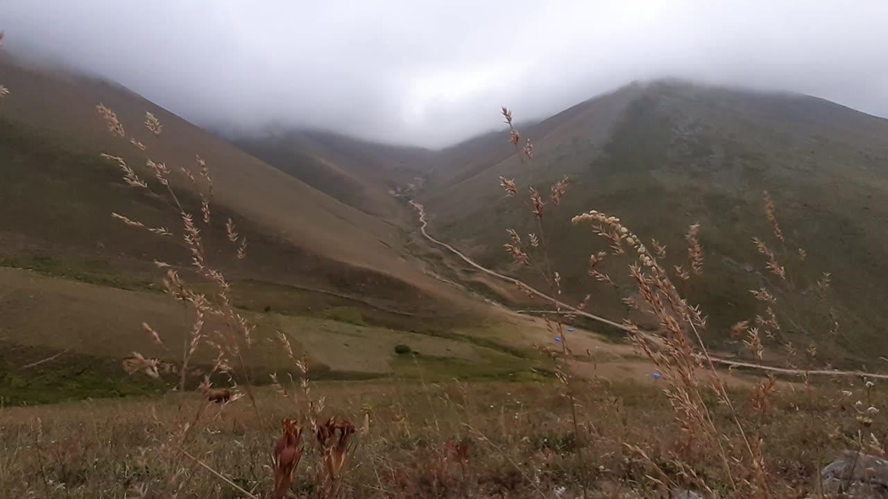 VIEWS FROM THE PLATEAU-74