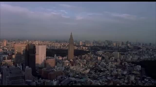 After Dark MrKitty (Music Video Lost In Translation "encontros e desencontros