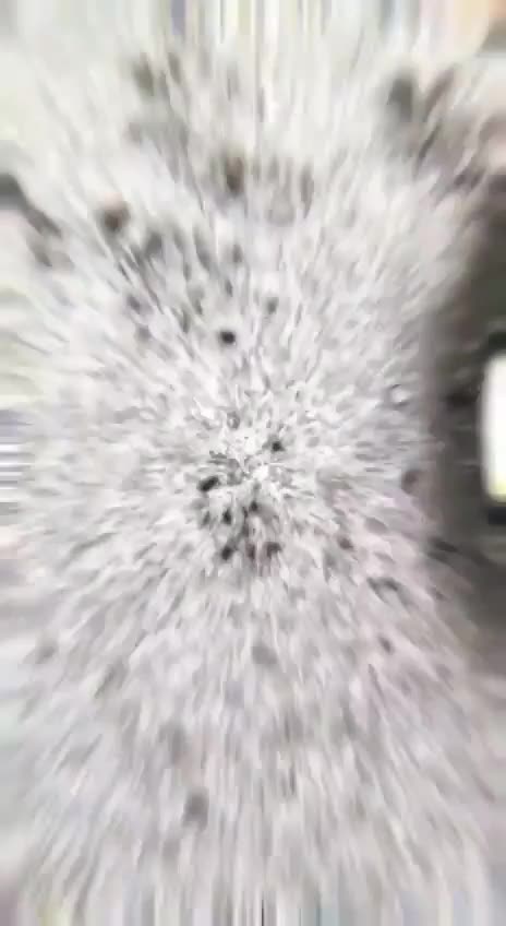 수돗물 현미경으로 보기, 질병의 원인