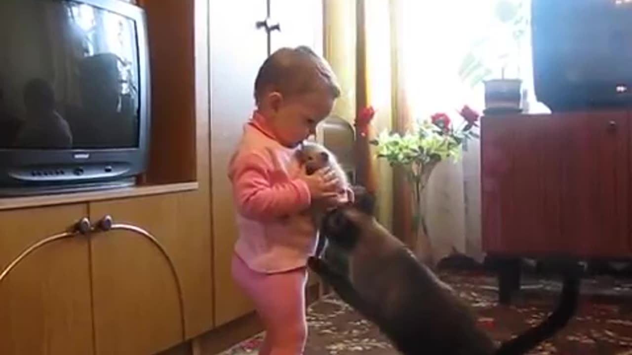 ☺️Mama Cat Takes Back Crying Kitten From Toddler