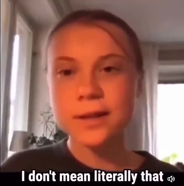 GRETA - explaining it was just a metaphor!